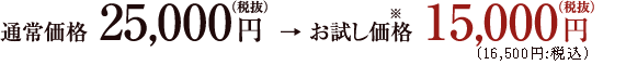 通常価格25,000円（税抜） → お試し価格※15,000円（税抜）
