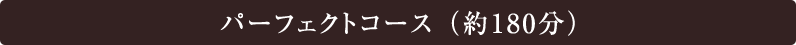 パーフェクトコース （約180分）