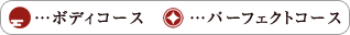 ボディコース　パーフェクトコース