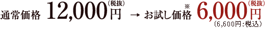 通常価格12,000円(税抜) → お試し価格※6,000円(税抜)