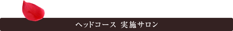 ヘッドコース 実施サロン