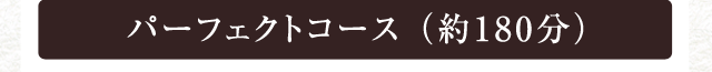 パーフェクトコース （約180分）