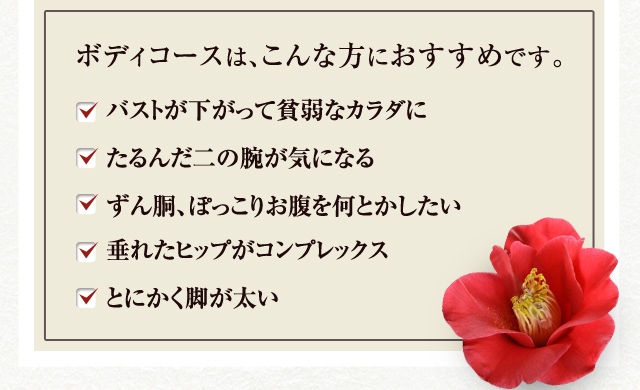ボディコースは、こんな方におすすめです。 バストが下がって貧弱なカラダに たるんだ二の腕が気になる ずん胴、ぽっこりお腹を何とかしたい 垂れたヒップがコンプレックス とにかく脚が太い