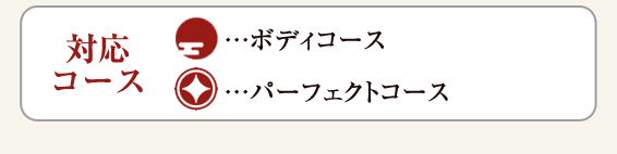 対応コース  ボディコース　パーフェクトコース