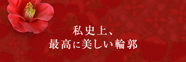 私史上、最高に美しい輪郭