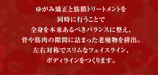 【内容】 ゆがみチェック 頭皮リフト 小顔ヘッド