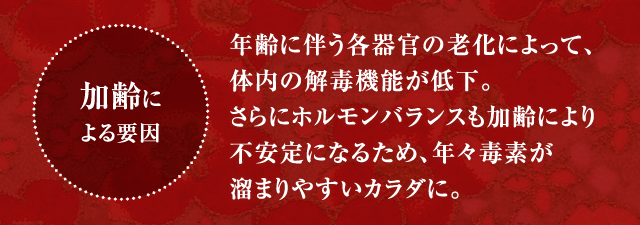 通常価格35,000円 (税抜) → お試し価格※20,000円 (税抜)