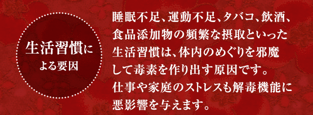 通常価格12,000円(税抜) お試し価格6,000円(税抜)