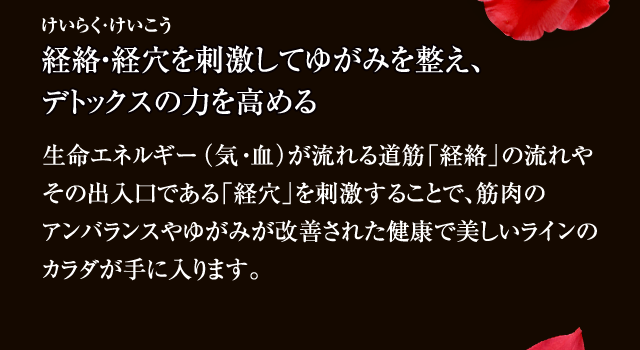 経絡・経穴(けいらく・けいこう)を刺激してゆがみを整え、デトックスの力を高める 生命エネルギー（気・血）が流れる道筋「経絡」の流れやその出入口である「経穴」を刺激することで、筋肉のアンバランスやゆがみが改善された健康で美しいラインのカラダが手に入ります。
