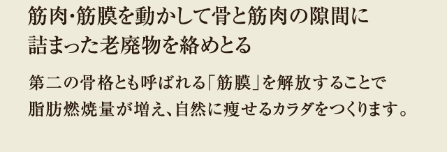 筋肉・筋膜を動かして骨と筋肉の隙間に詰まった老廃物を絡めとる 第二の骨格とも呼ばれる「筋膜」を解放することで脂肪燃焼量が増え、自然に痩せるカラダをつくります。