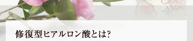 修復型ヒアルロン酸とは？