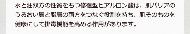 水と油双方の性質をもつ修復型ヒアルロン酸は、肌バリアのうるおい層と脂層の両方をつなぐ役割を持ち、肌そのものを健康にして排毒機能を高める作用があります。
