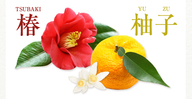 椿 TSUBAKI 柚子 YUZU