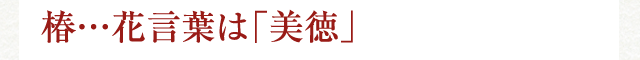 椿…花言葉は「美徳」