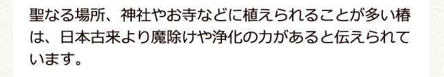 聖なる場所、神社やお寺などに植えられることが多い椿は、日本古来より魔除けや浄化の力があると伝えられています。
