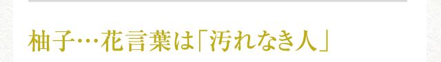 柚子…花言葉は「汚れなき人」